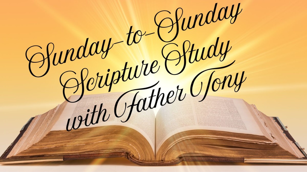 Sunday to Sunday Scripture Study